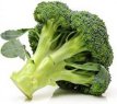 D028 Chou broccoli
