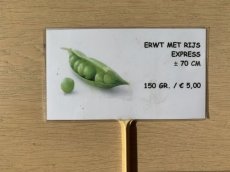 ZV13 Pois à rames / Express ( /- 70 cm)